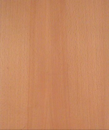 beech wood veneer